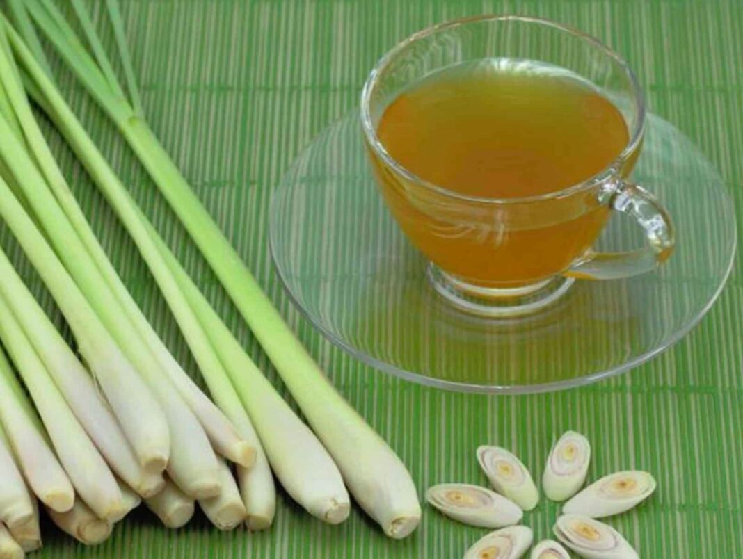 How Lemongrass Benefits Your Health 